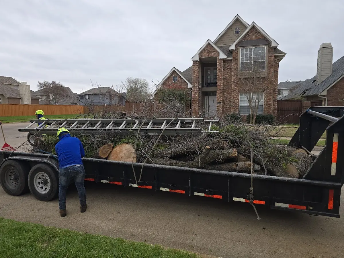 Expert Lot Clearing with proper safety equipment in Fitzhugh